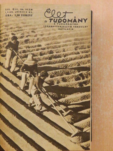 Dr. Tangl Harald - Élet és Tudomány 1959. (fél évfolyam) [antikvár]