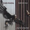 Arató András - Gábriel éve [antikvár]