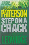James Patterson, Michael Ledwidge - Step on a Crack [antikvár]