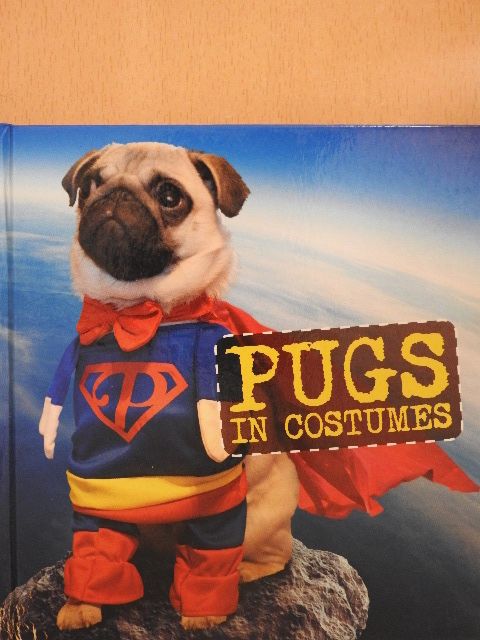 Pugs in Costumes [antikvár]
