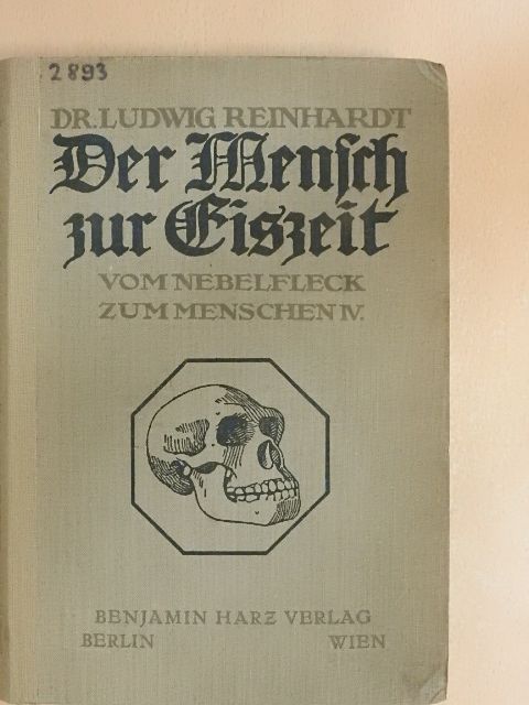 Dr. Ludwig Reinhardt - Der Mensch zur Eiszeit in Europa (gótbetűs) [antikvár]