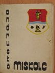 Miskolc (minikönyv) [antikvár]