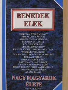 Benedek Elek - Nagy magyarok élete II. [antikvár]