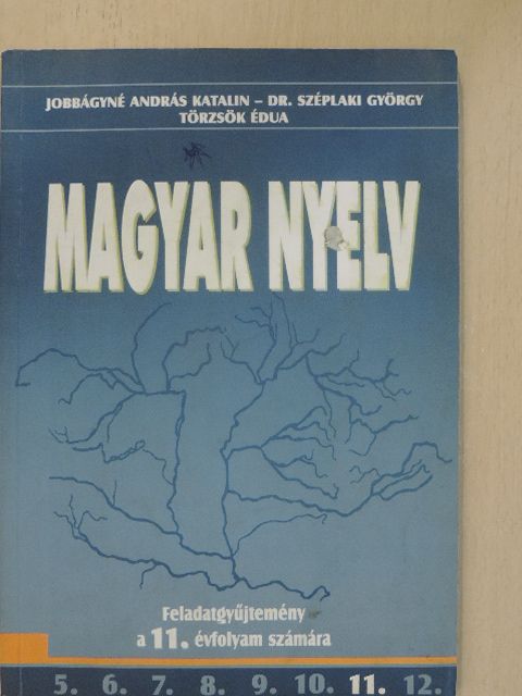 Dr. Széplaki György - Magyar nyelv 11. [antikvár]