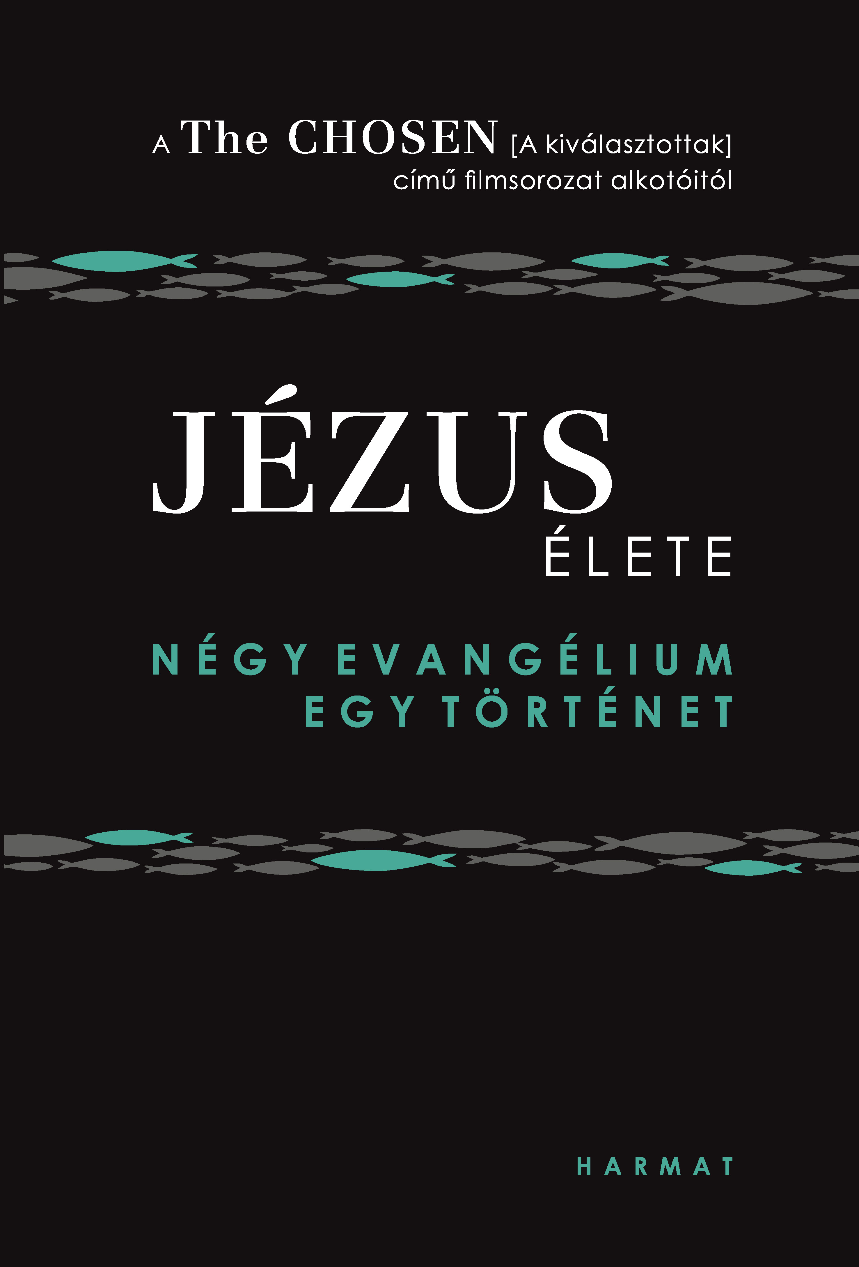 Steve Laube, Amanda Jenkins, Dallas Jenkins - Jézus élete