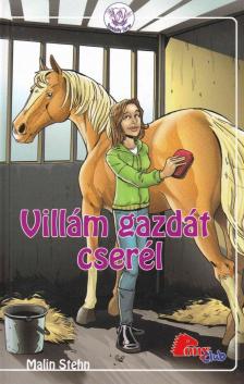 Stehn, Malin - Villám gazdát cserél [antikvár]