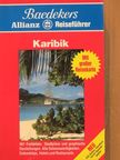 Dr. Hans-Dieter Haas - Karibik [antikvár]