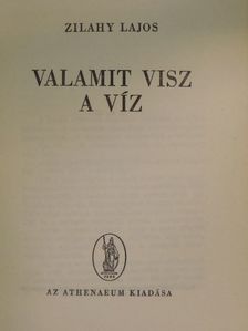 Zilahy Lajos - Valamit visz a víz [antikvár]