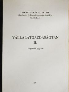 Vállalatgazdaságtan II. [antikvár]