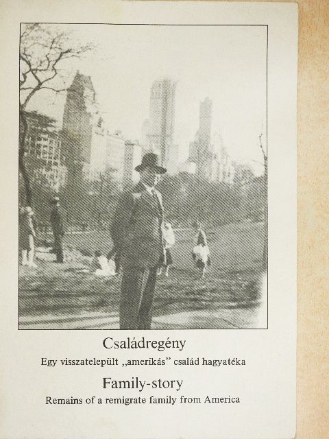 Györe Balázs - Családregény [antikvár]