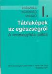 Susánszky Éva, Szántó Zsuzsanna - Táblaképek az egészségről [antikvár]