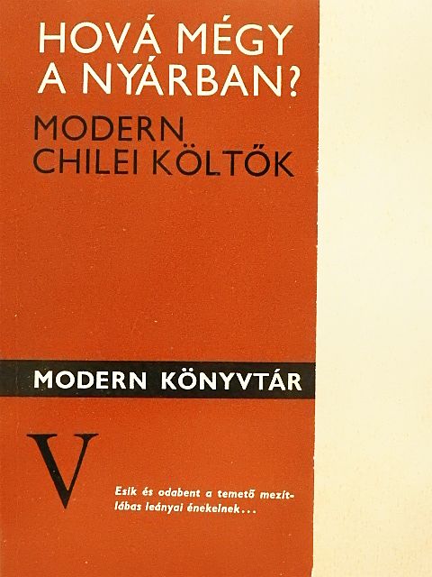 Alfonso Alcalde - Hová mégy a nyárban? [antikvár]