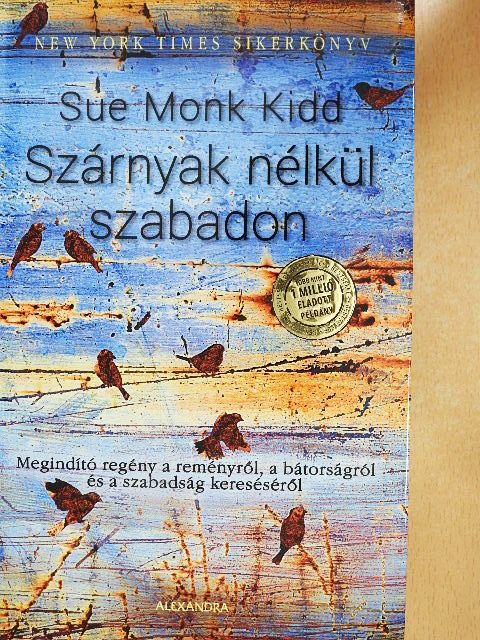 Sue Monk Kidd - Szárnyak nélkül szabadon [antikvár]