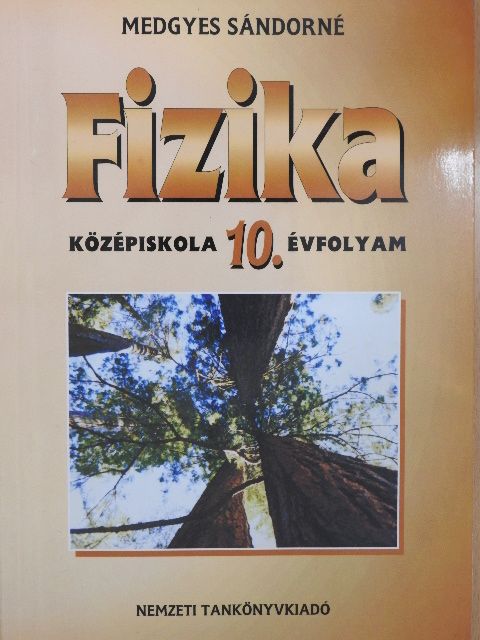 Medgyes Sándorné - Fizika 10. [antikvár]