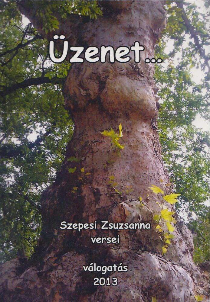 Szepesi Zsuzsanna - Üzenet... [antikvár]
