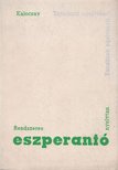 Kalocsay Kálmán - Rendszeres eszperantó nyelvtan [antikvár]