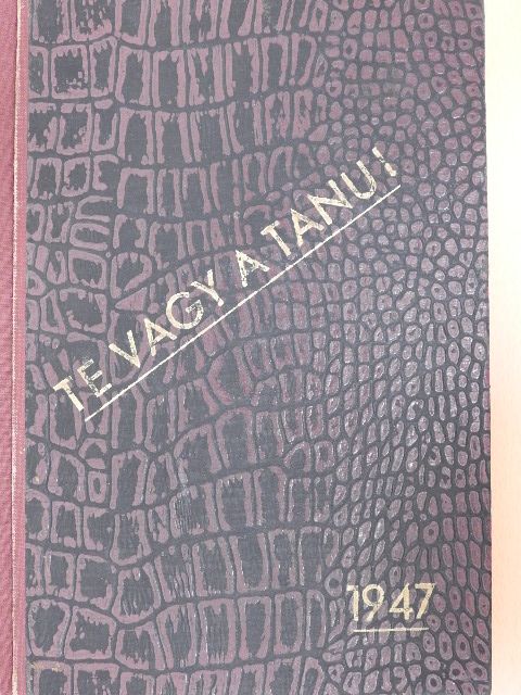 Antal Gábor - Te vagy a tanu! [antikvár]