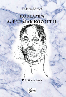 Talata József - Ködlámpa. Az Égtájak között II.