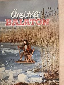 Móricz Béla - Őszi, téli Balaton [antikvár]