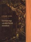 César Aira - Epizód egy vándorfestő életéből [antikvár]