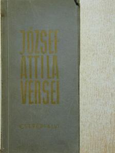 József Attila - József Attila összes versei és műfordításai [antikvár]