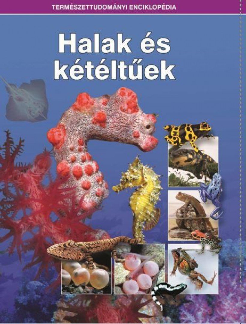 Újhelyi Péter - Halak és kétéltűek [antikvár]