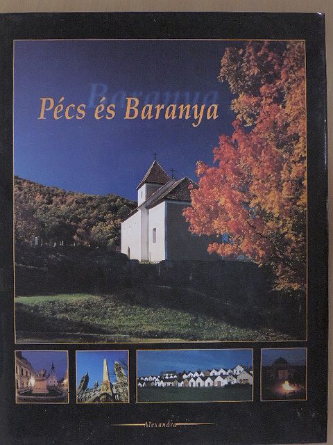 Roisz Erzsébet - Pécs és Baranya [antikvár]