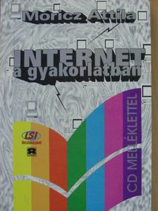 Móricz Attila - Internet a gyakorlatban [antikvár]