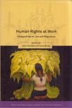 Colin Fenwick, Tonia Nowitz - Human Rights at Work: Perspectives on Law and Regulation [antikvár]