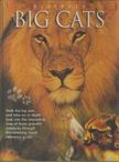 Discover Big Cats [antikvár]