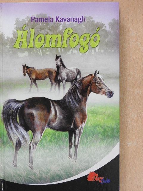 Pamela Kavanagh - Álomfogó [antikvár]