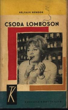 PÁLFALVI NÁNDOR - Csoda Lomboson [antikvár]