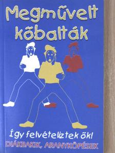 Dr. Kabódi Csaba - Megművelt kőbalták [antikvár]