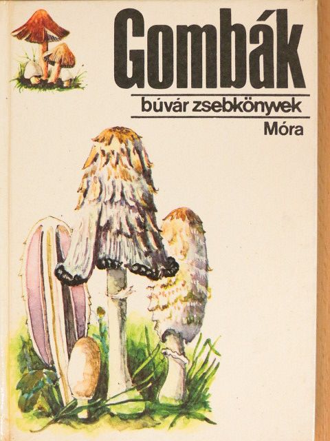 Dr. Kalmár Zoltán - Gombák [antikvár]