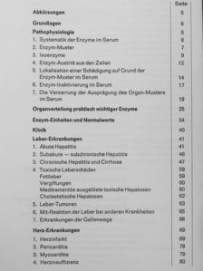 E. Schmidt - Enzym-Fibel [antikvár]
