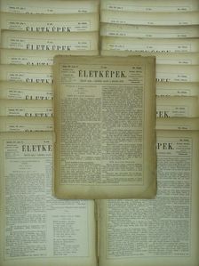 Jókai Mór - Életképek 1876. (nem teljes évfolyam) [antikvár]