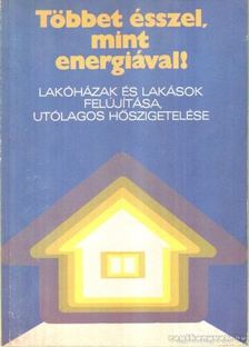 SIKLÓSI NORBERT - Többet ésszel, mint energiával! [antikvár]