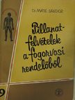 Dr. Máté Sándor - Pillanatfelvételek a fogorvosi rendelőből [antikvár]