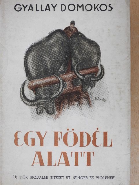 Gyallay Domokos - Egy födél alatt [antikvár]