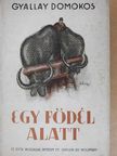 Gyallay Domokos - Egy födél alatt [antikvár]
