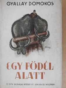 Gyallay Domokos - Egy födél alatt [antikvár]