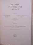 Dr. Kiss Ferenc - Az ember anatómiájának atlasza III. (töredék) [antikvár]