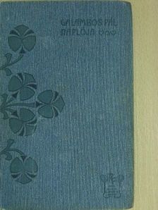 Rákosi Viktor - Galambos Pál naplója/Jobbadán Amerikában [antikvár]