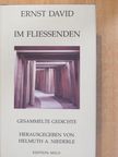 Ernst David - Im Fliessenden [antikvár]