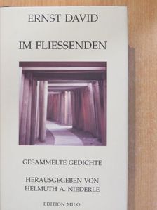 Ernst David - Im Fliessenden [antikvár]