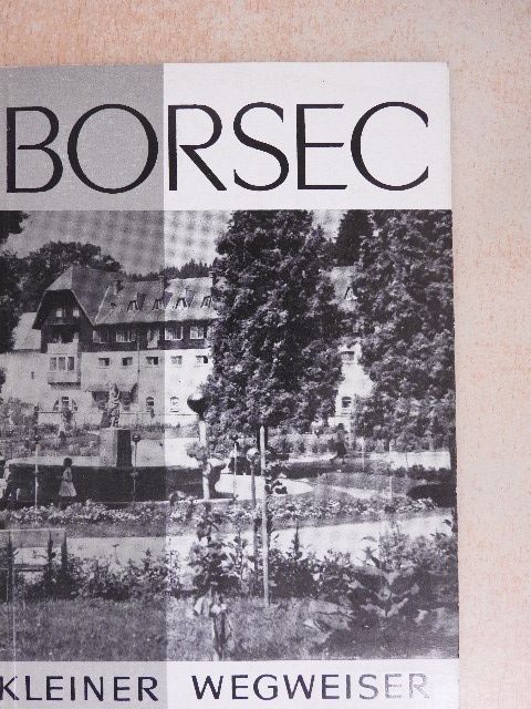 G. Caliman - Borsec [antikvár]