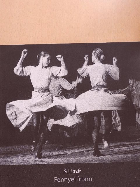 Süli István - Fénnyel írtam [antikvár]