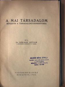 Dr. Dékány István - A mai társadalom [antikvár]