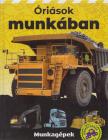 Szőke Csaba - Óriások munkában [antikvár]