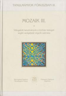 Bucholczné Szombathy Mária, Midling Andrea - Mozaik III. [antikvár]